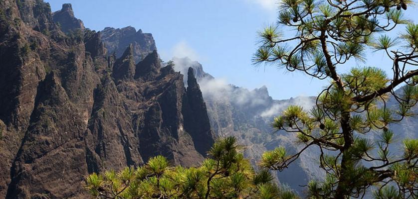 Entdecken Sie die Flora auf La Palma