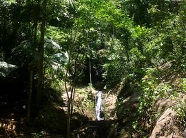 Kleiner Wasserfall Los Tilos La Palma