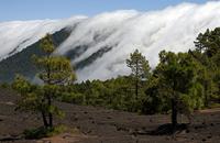 Wolkenkaskaden von Ost nach West über dem Roque de los Muchachos, La Palma