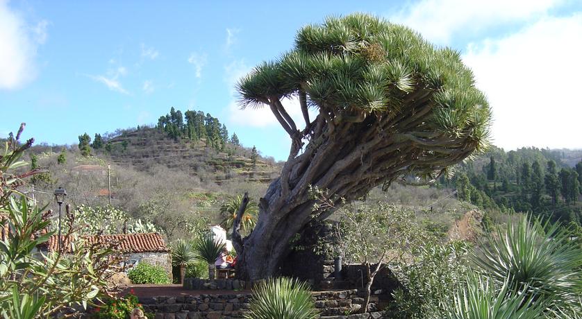 Wetter auf La Palma: Klima und Temperaturen