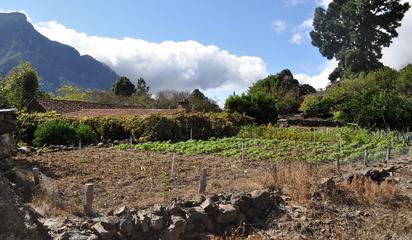 Landwirtschaft La Palma