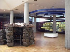 Archäologisches Museum: Museo Arqueológico Benahoarita